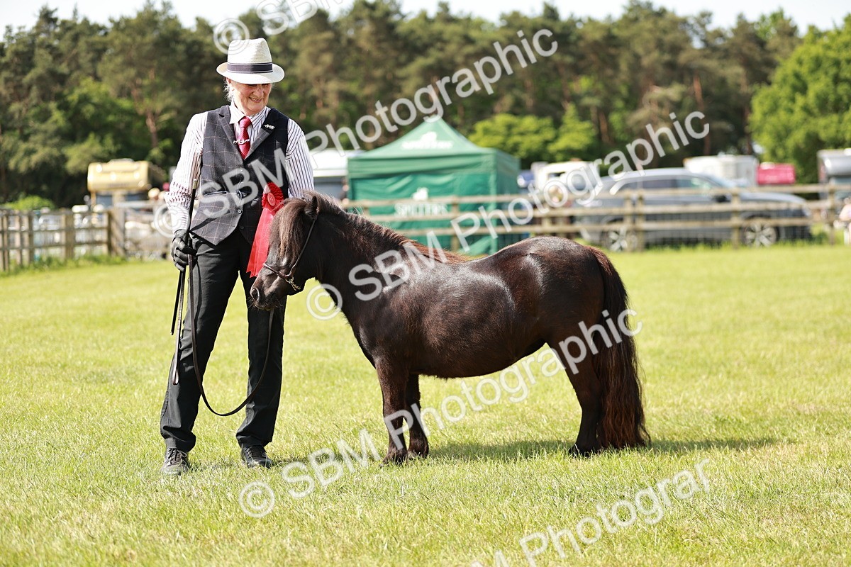 SBM_01924 - Class 14-23 - Mountain & Moorland In Hand Non Welsh