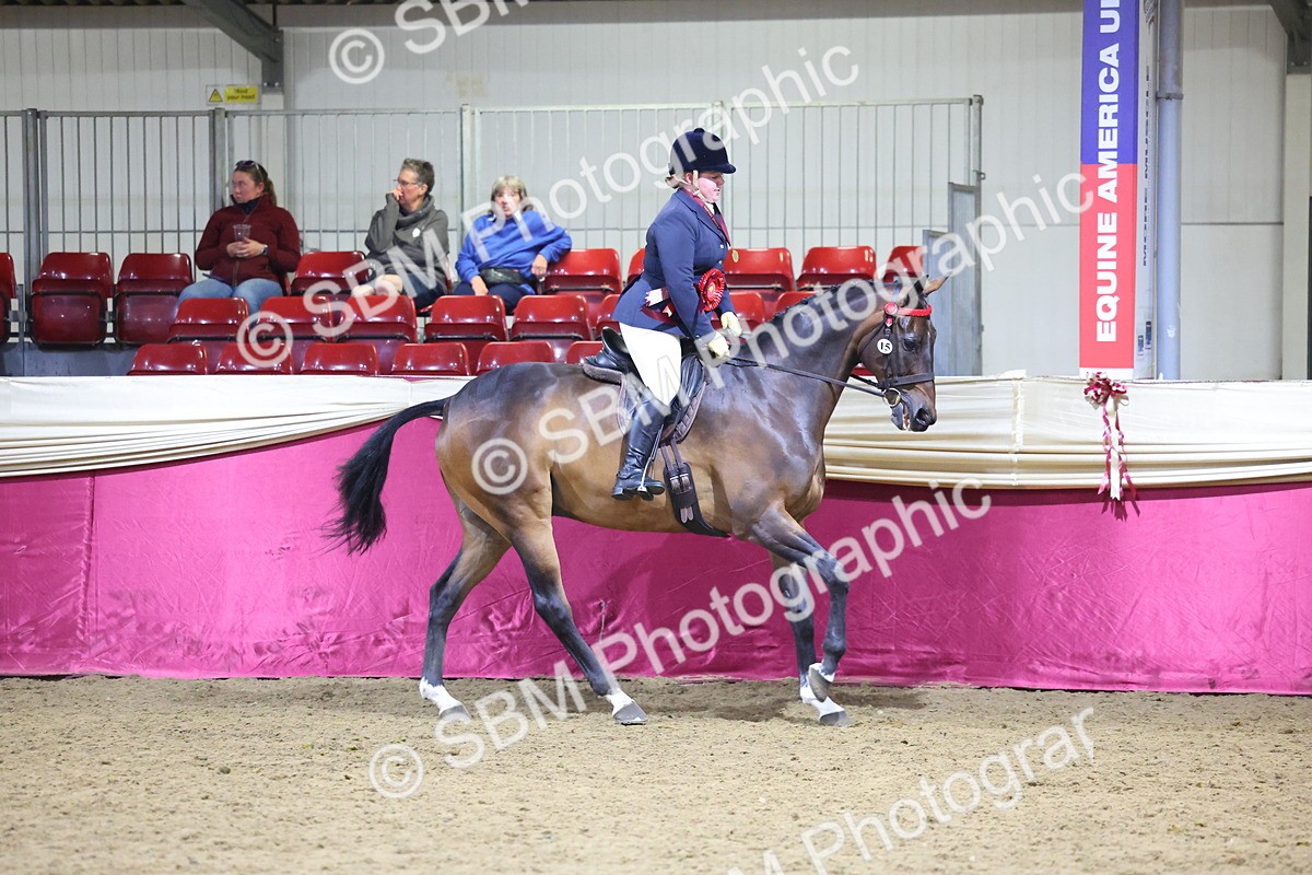 0B8A4294 - Class 108Ridden Retired Racehorse- Final Judging