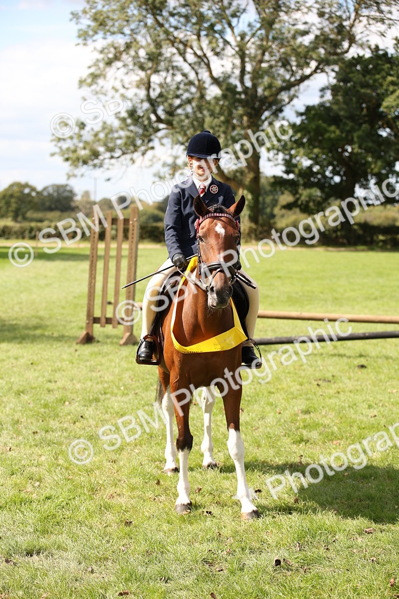 SBM_42392 - S13 - Pony Club Pony