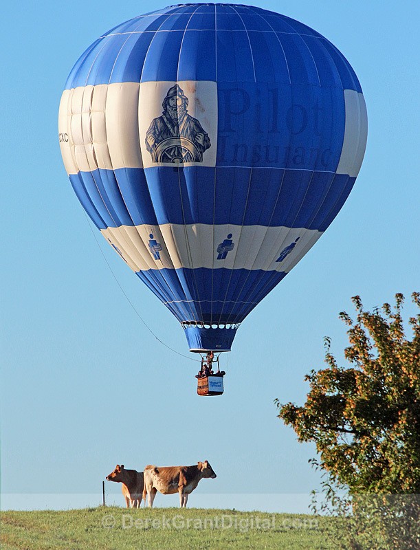 Atlantic International Balloon Festival Sussex New Brunswick Canada