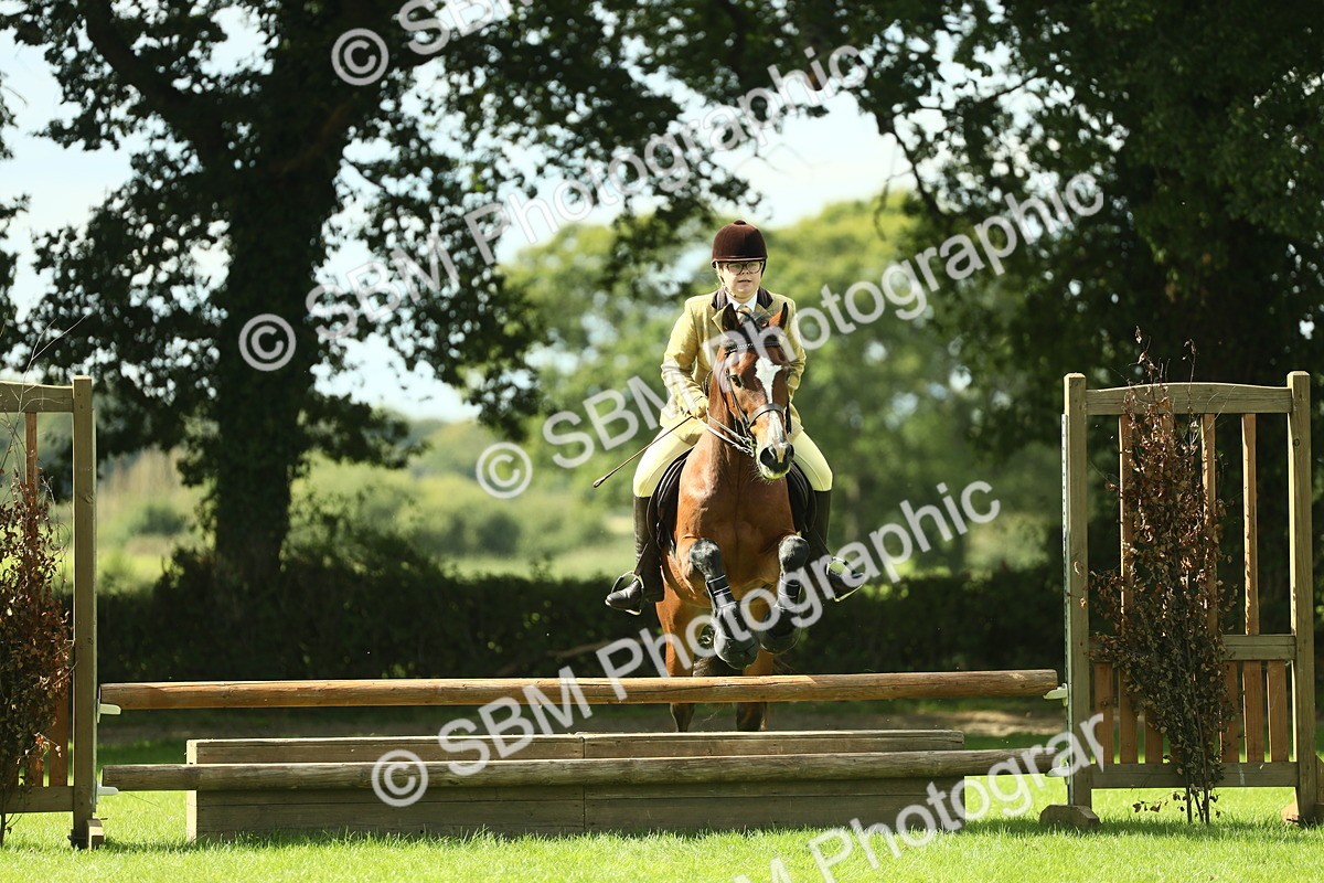 SBM_42967 - S30 - M&M Working hunter Pony