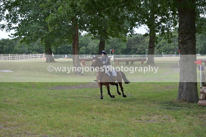 NGP_9175 - Time 12:34 to 12:37