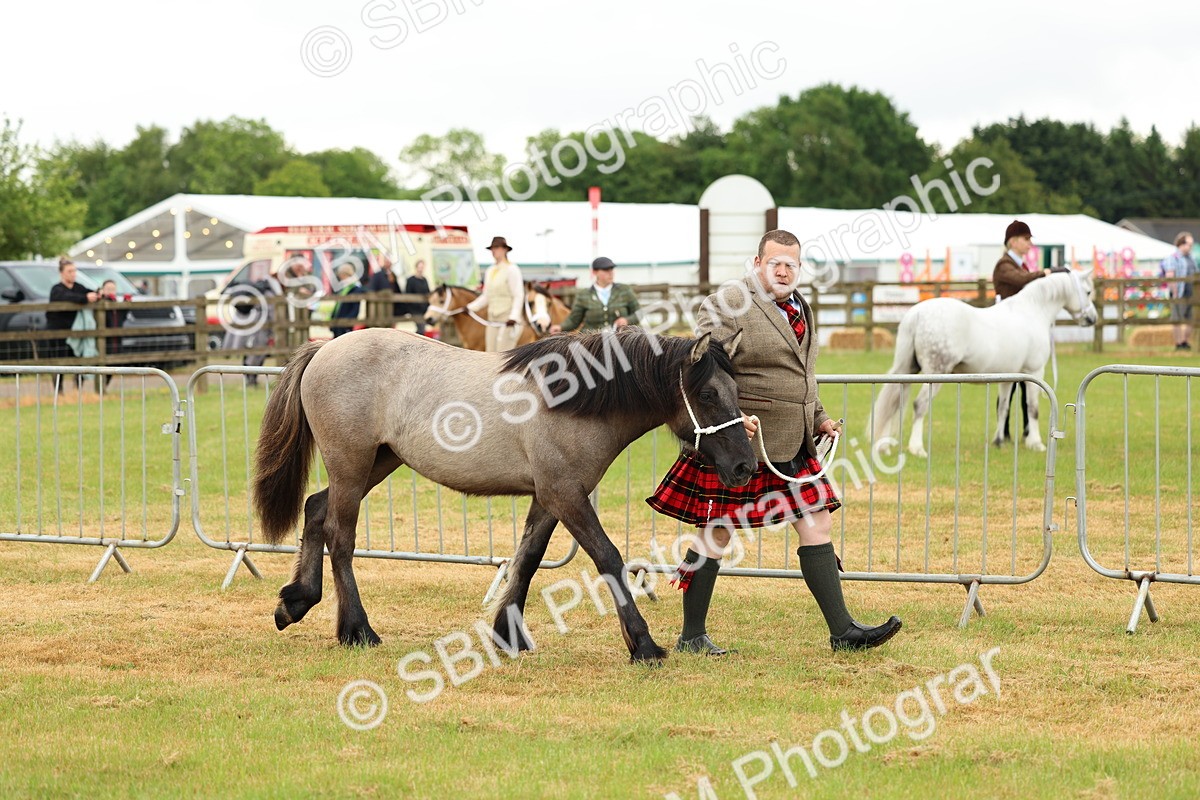 SBM_00377 - Class 58-67 - M&M Non Welsh Pony In hand
