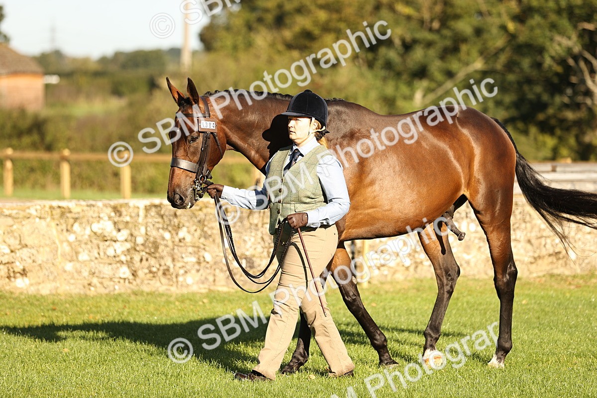 SBM_15717 - S1 - TSR in Hand Horse & Pony Showing