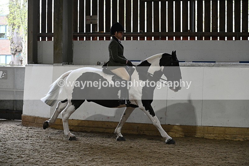 WJ7_3823 - Class 17 Ridden Cob