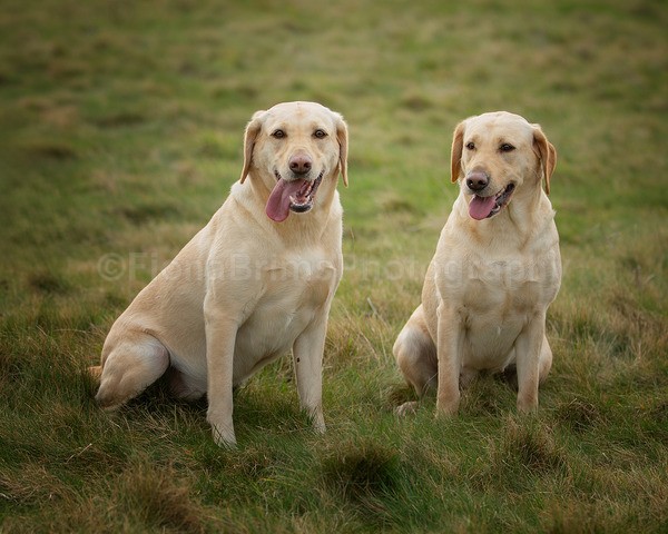 Troon Drive-64 - Troon Easter Monday Drive 2026