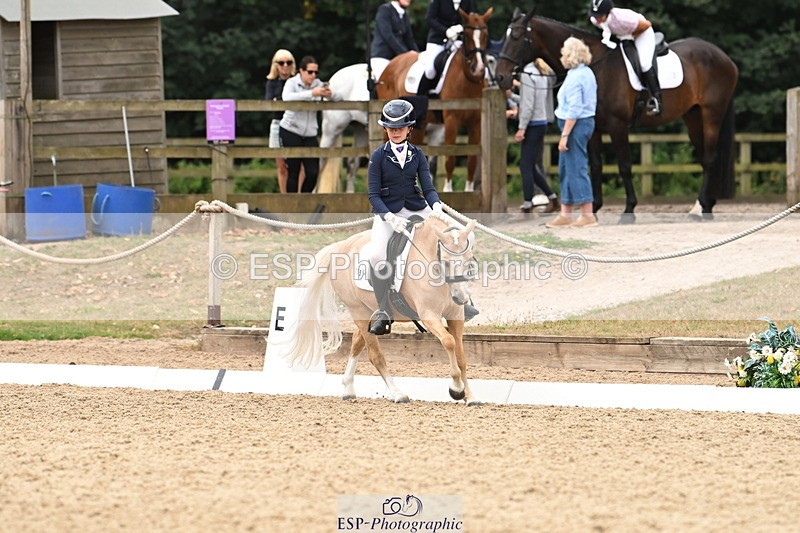 250808A-114242-00679 - 155-Rose.Cassapi-Westfirle.Golden.Oriole