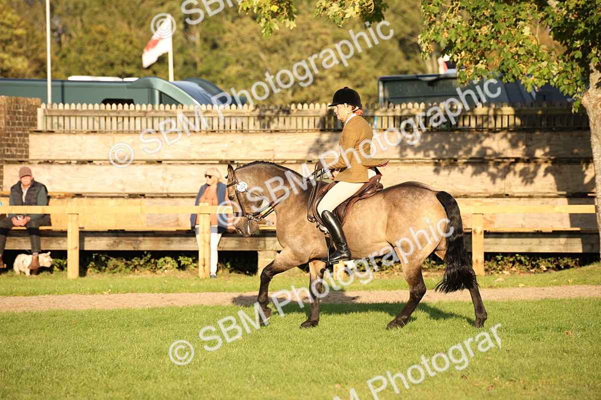 SBM_54444 - S27 - Mature Veteran - Ridden