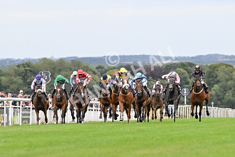 150824-Race 6-Captain Corelli-4374 - Race 6