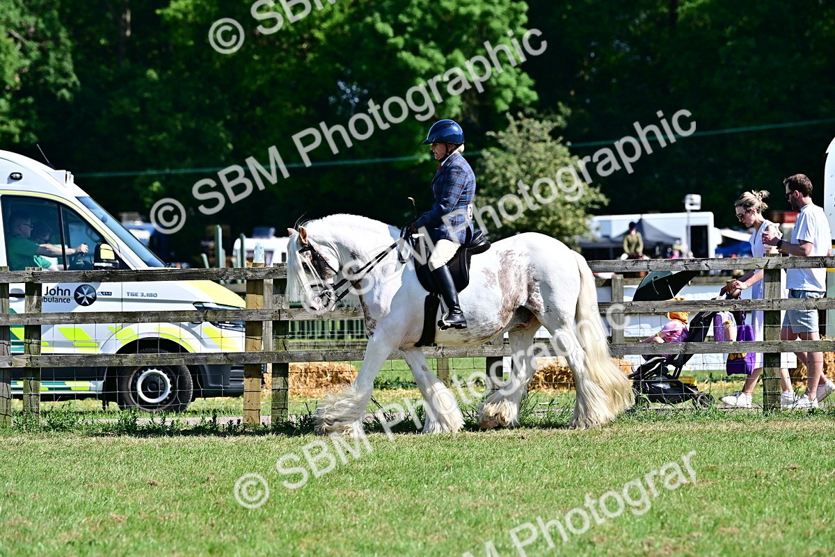 SBM_19398 - Class 101-102 - BSPS LIHS Performance Coloured Horse/Pony