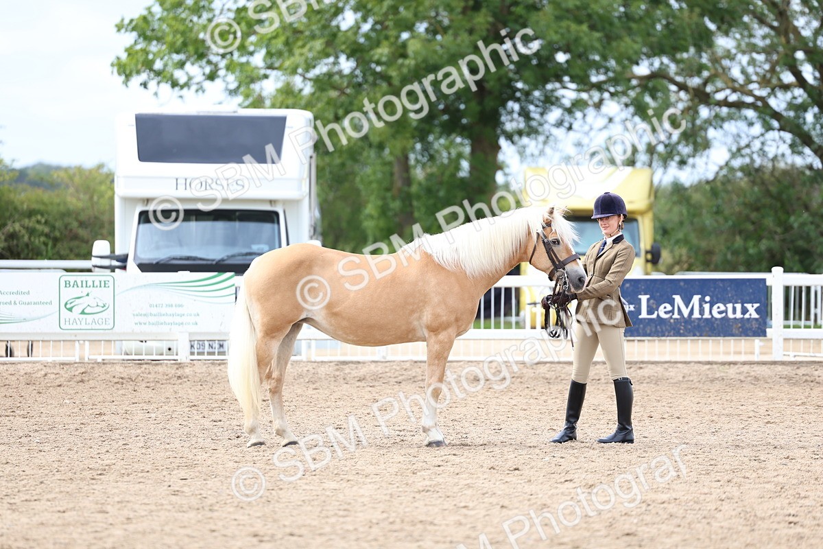 SBM_03911 - Class 25 - IH Foreign Breeds - Pure Bred