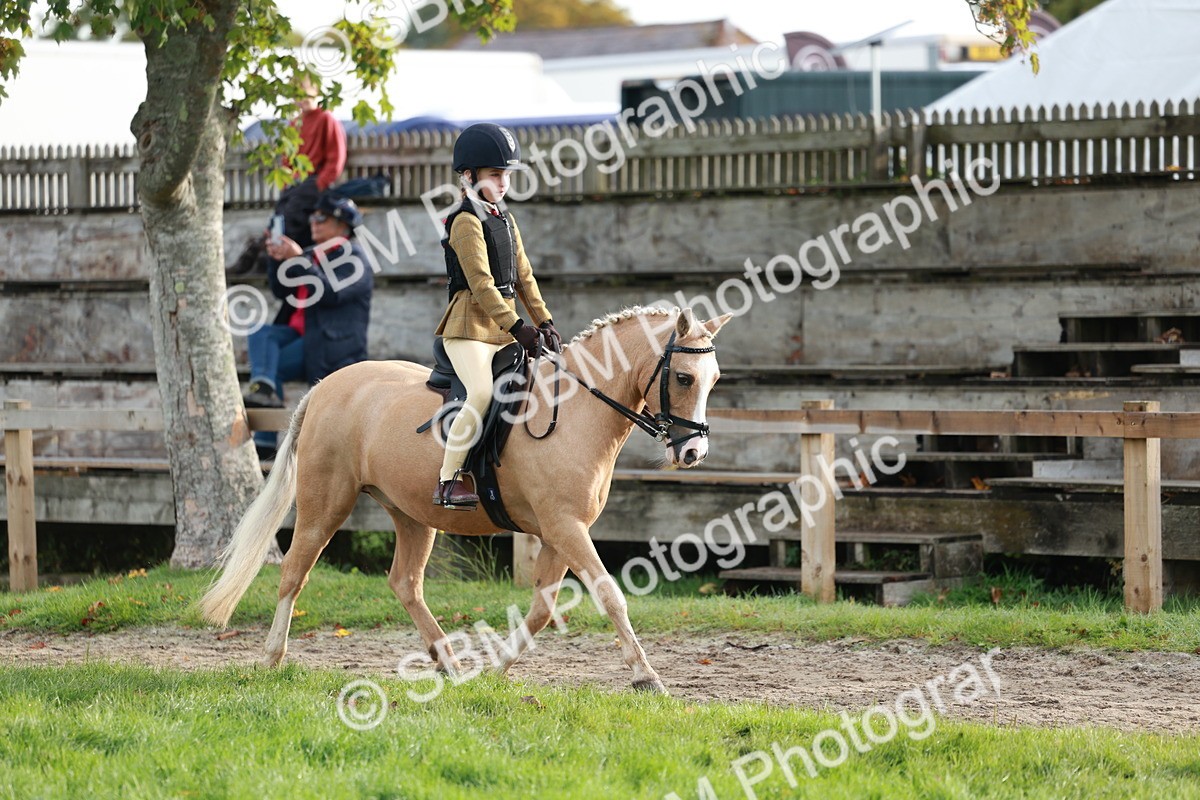 SBM_56327 - S39 - Starters In Hand Showing