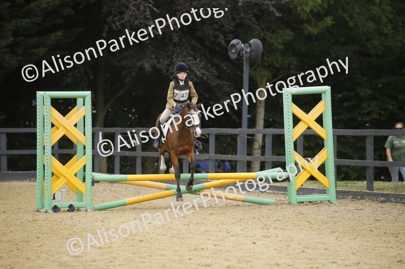 20250622-6269 - 60cm