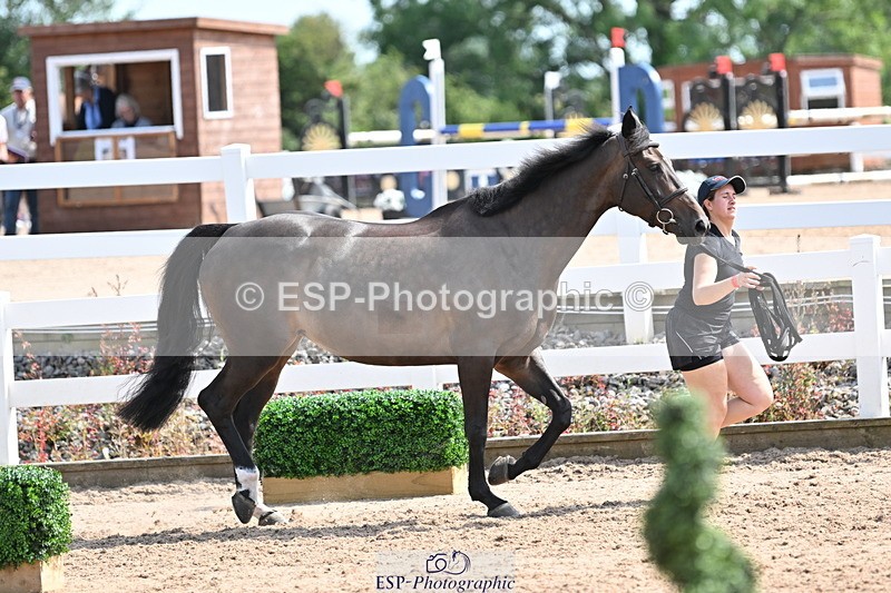 240717A-153816-02937 - Trot Up 3pm to 4pm