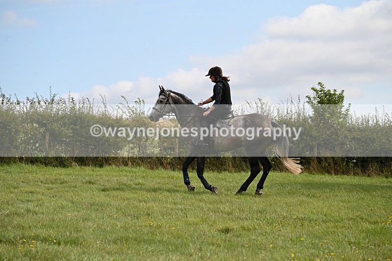 WJ6_7852 - Time 11:45 to 11:58