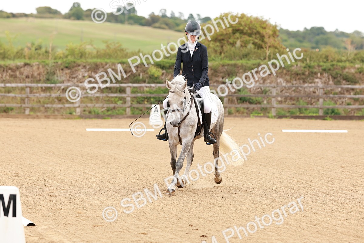 SBM_001015 - Intro 2