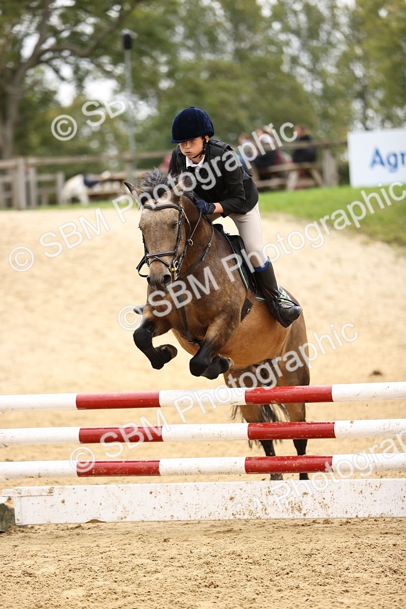 SBM_68741 - J18 - Junior Pony 85cm championship