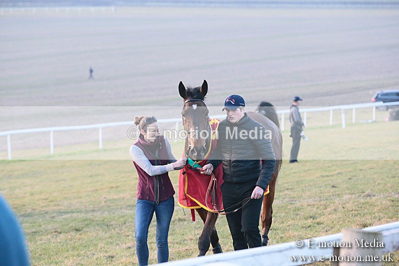 PtP 230219 661 - Vine & Craven Point-To-Point - Barbury 23/02/19