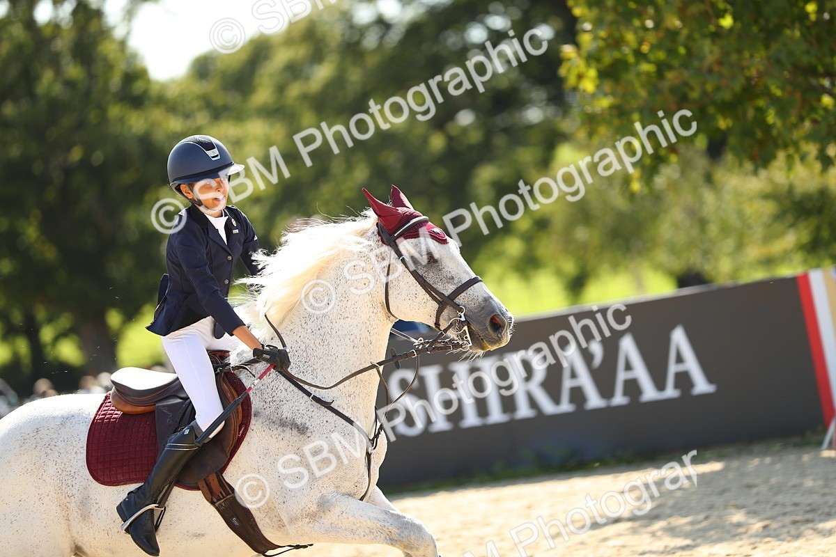 SBM_24057 - J45 - Accumulator 70 80cm