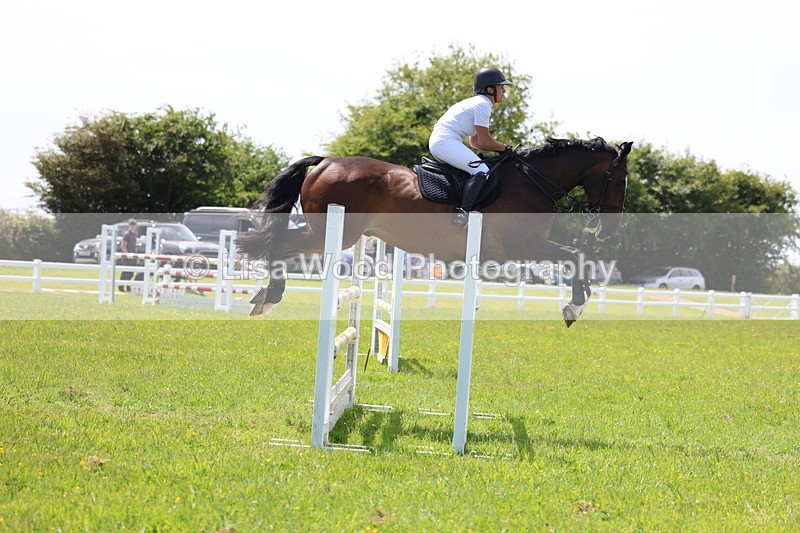 3E7A1310 - Class 12: Senior Foxhunter/1.20 open