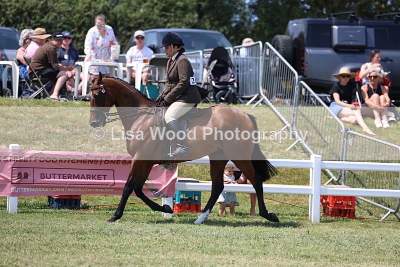 3E7A9418 - Class 12: Open Racehorse to Show Horse