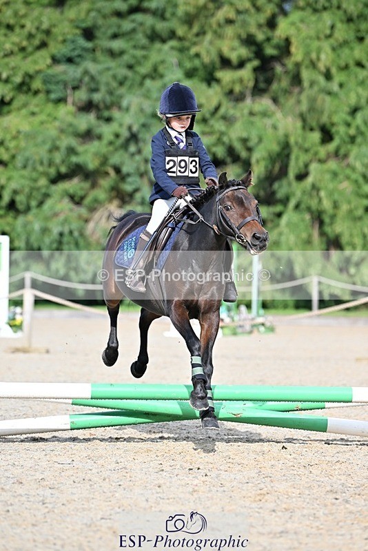 230824-165321-06190 - Round 1 Assisted 16.20 to End