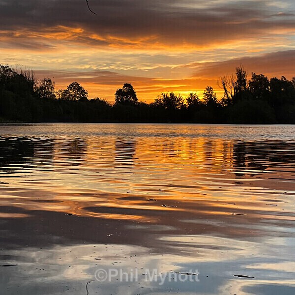 PhotoMynottART103 - Photo Mynott ART Images