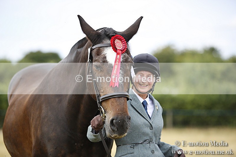 _C7A9455 - BVRC Sow 2018 Ring 2