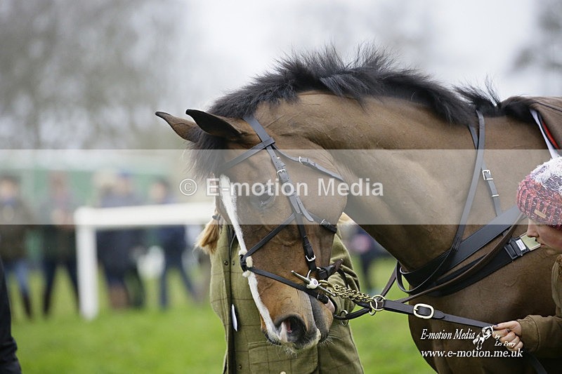 PtP 200222 04 - Countryside Alliance PtP Badbury Rings 20/02/22