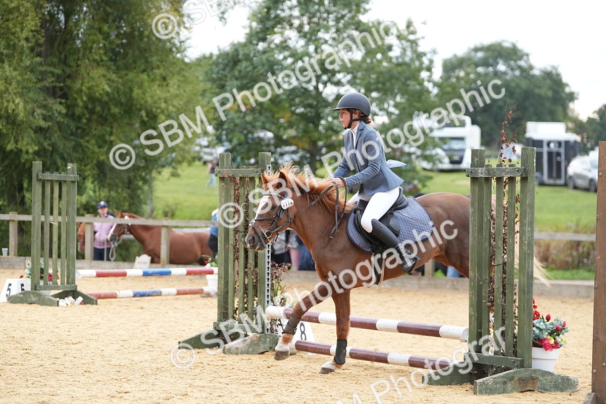SBM_74838 - J4 - Mini Tour Junior Pony 45cm Championship