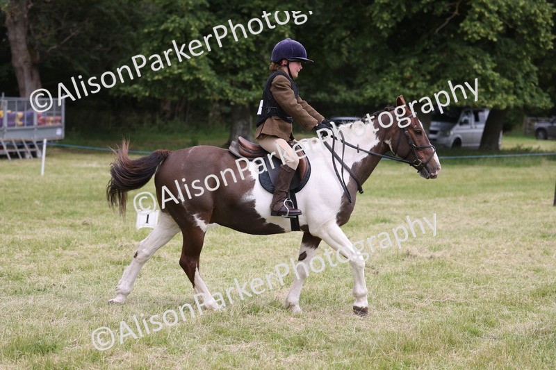20260614-3059 - Class 22 - Open Working Hunter