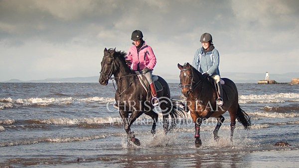 Ayr 3 - Rural Life