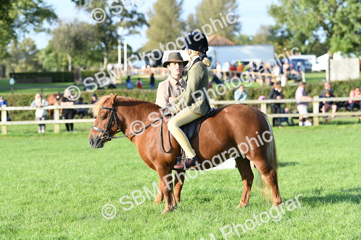 SBM_54071 - S23 - 1st Ridden Mountain & Moorland Pony