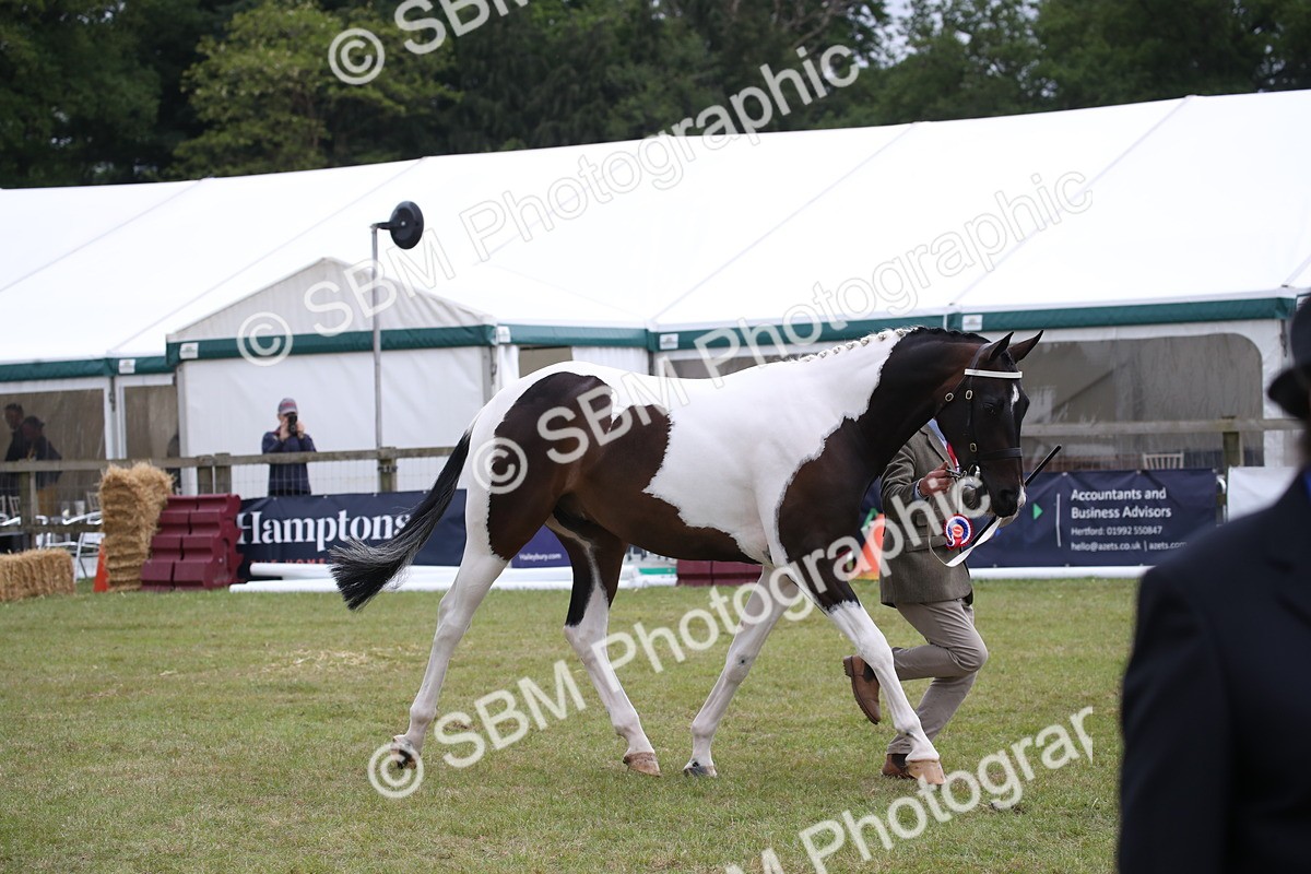 SBM_09870 - Ch 50 - Price Family Supreme In Hand