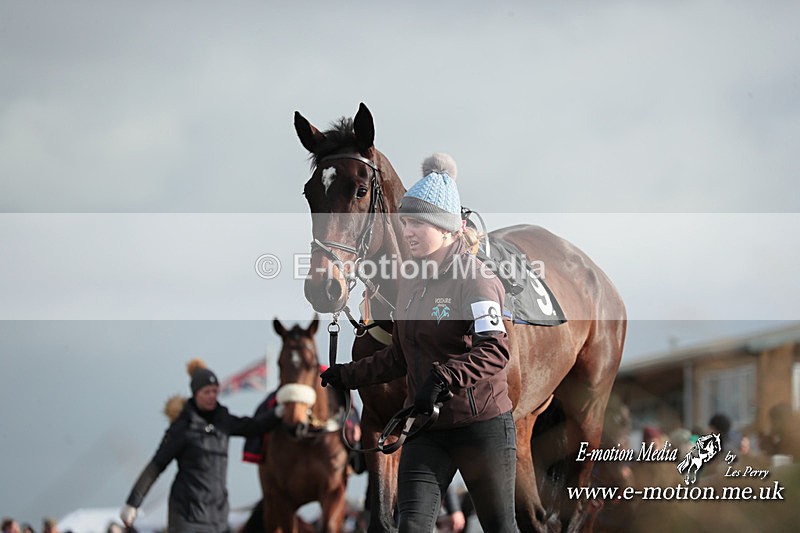 PtP 311223 391 - Larkhill Racing Club Point-to-Point 31/12/23