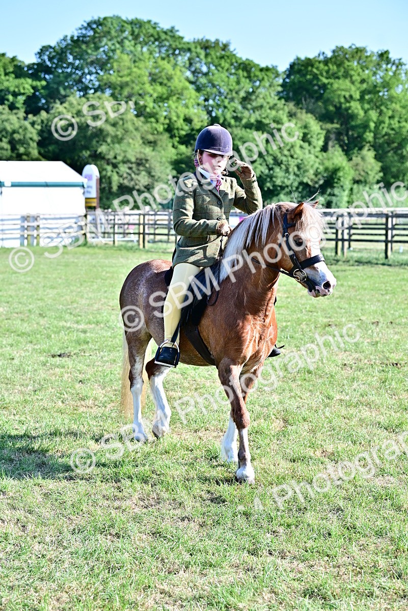 SBM_19860 - Class 103 - 105 - TSR Ridden Amateur of the Year Plaited Ponies