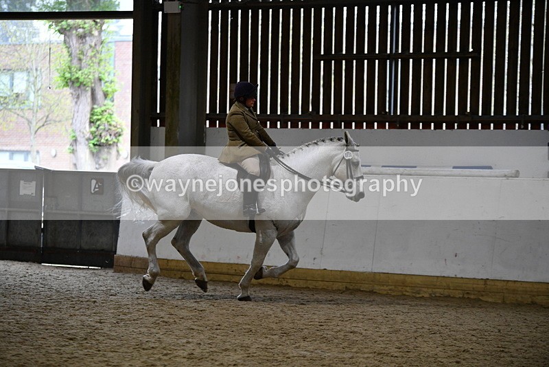 WJ5_9054 - Class 15 Ridden Show Horse