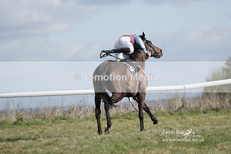 PtP 260223 516 - South & West Wilts Point-to-Point Larkhill 26/02/23