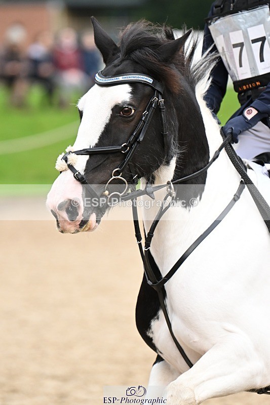 240929-093652-00043 - Cls 1 70-75cm