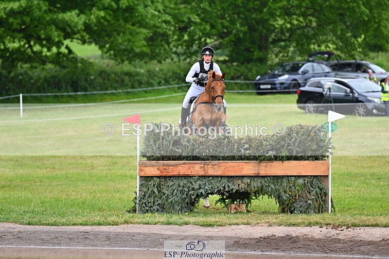 250524A-125810-10741 - B-360-Lucy.K.Wheeler-KING.CREOLE.VD.N.RANCH