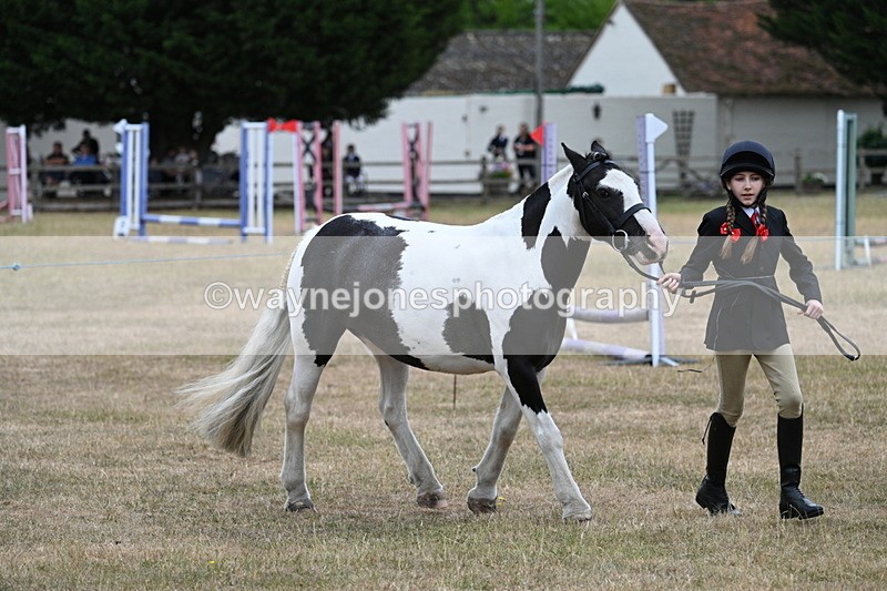 WJ7_8282 - Class 4 Prettiest Mare up to 14.2hh