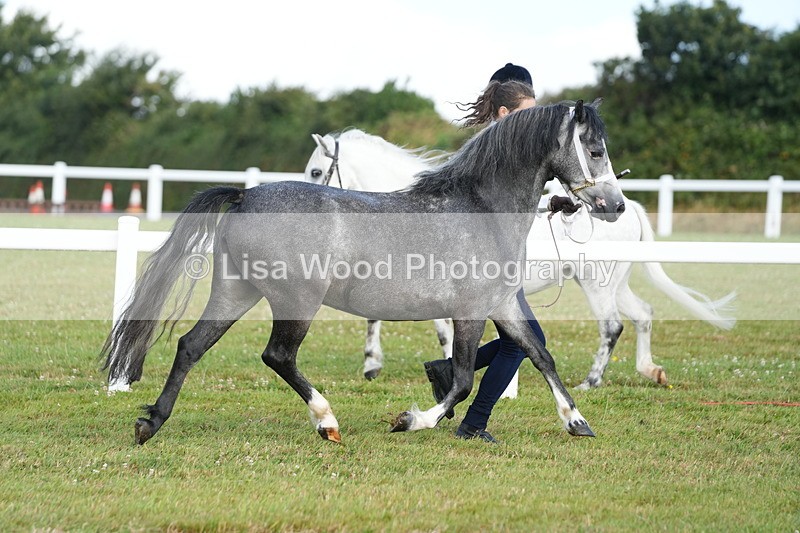 DSC04946 - Class 48: NPS M&M 2/3 year olds
