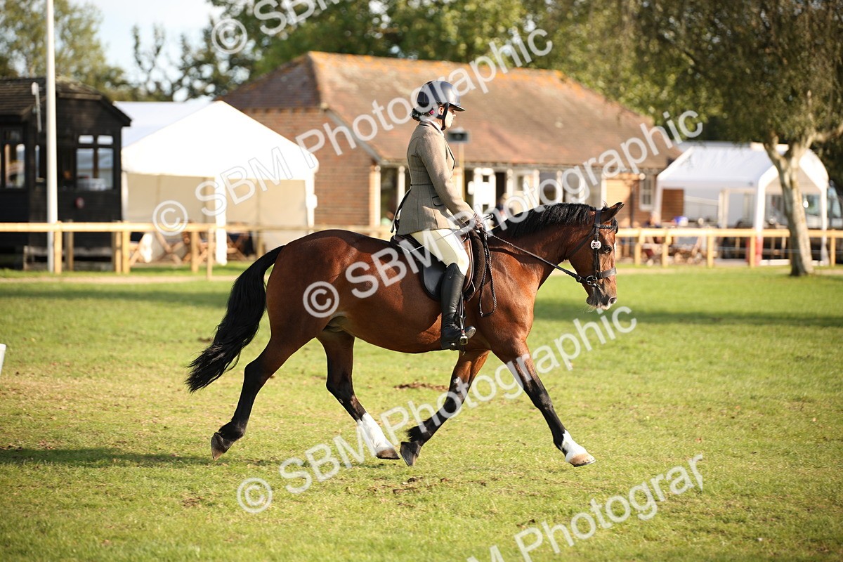 SBM_54322 - S27 - Mature Veteran - Ridden