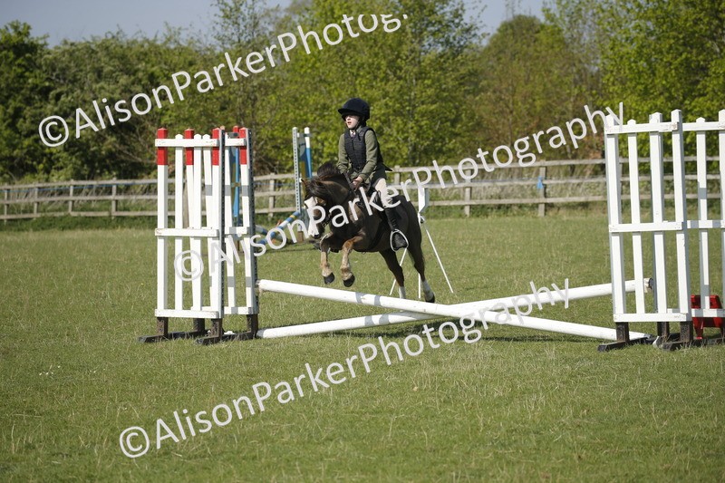 20250427-0412 - Class 12 - Rookie Jumping 40cm