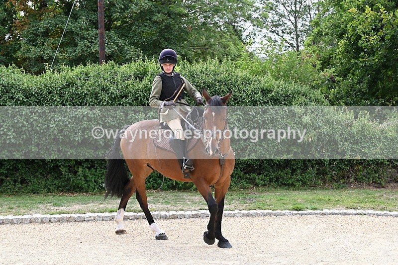 WJ6_3479 - Berks & Bucks - The Old farmhouse - Hound Exercise 20-08-25