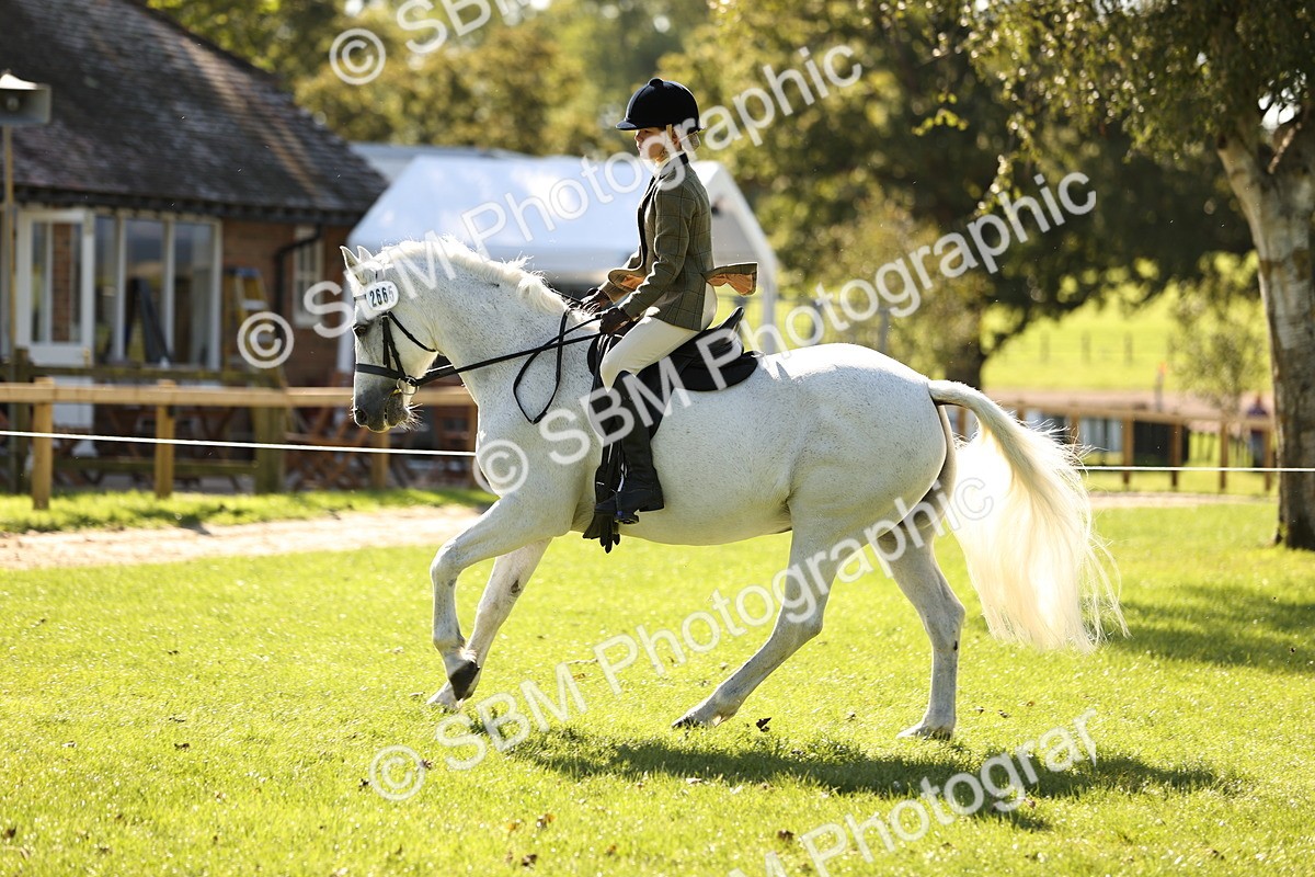 SBM_19129 - S3 - TSR Ridden Pony Showing