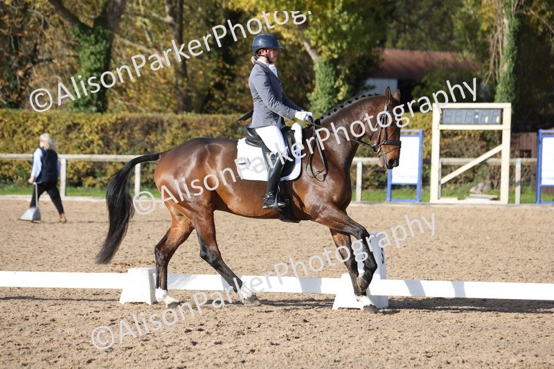 20251102-1056 - Class 5 - Elementary 5