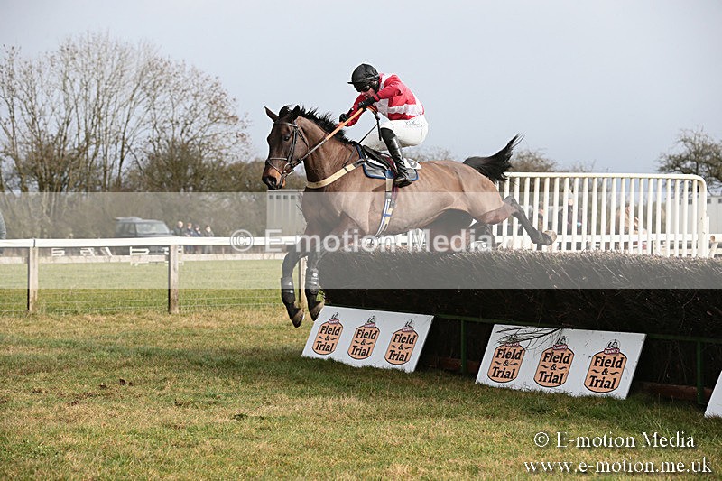 PtP 270119 133 - Cocklebarrow Races 27/01/19