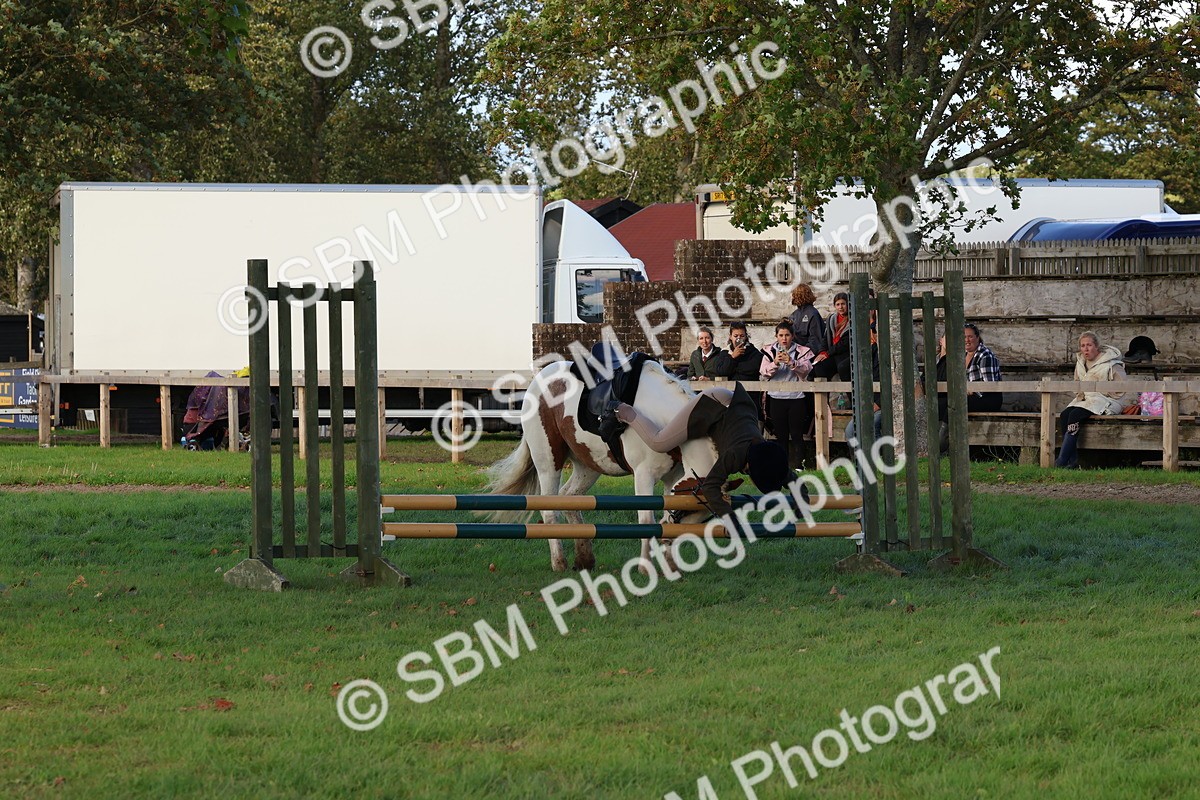 SBM_52572 - S13 - Pony Club Pony