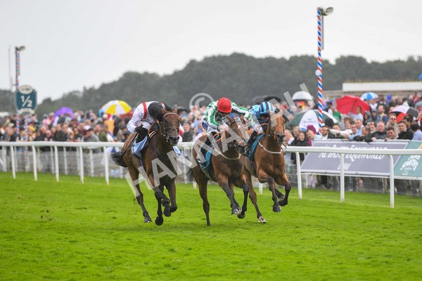 150723-Race 4-Hamish-0420 - Race 4 3.45pm John Smith's Silver Cup Stakes